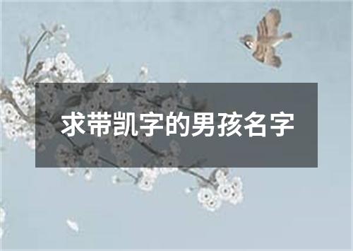 求带凯字的男孩名字