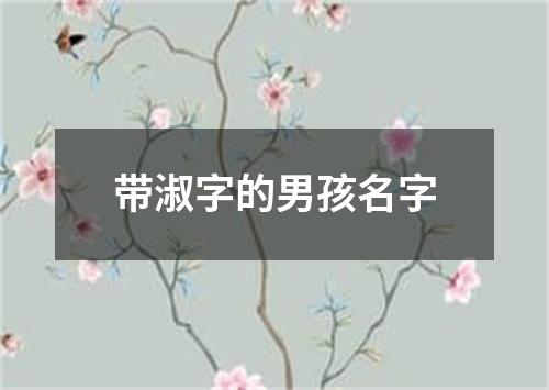 带淑字的男孩名字