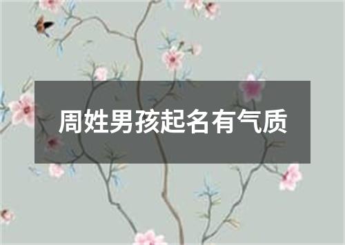 周姓男孩起名有气质