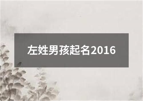 左姓男孩起名2016