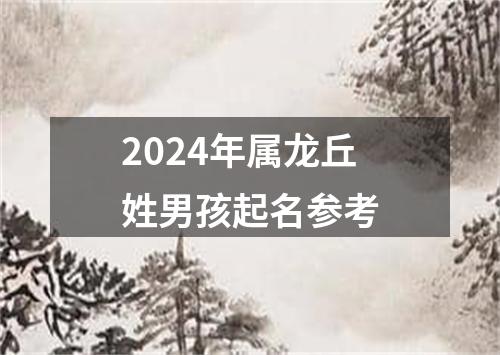 2024年属龙丘姓男孩起名参考