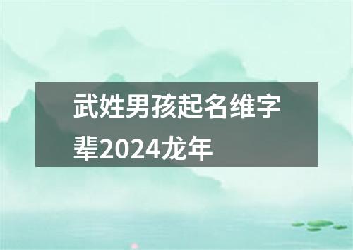 武姓男孩起名维字辈2024龙年