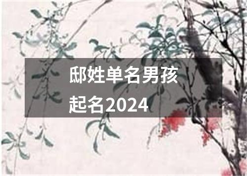 邸姓单名男孩起名2024