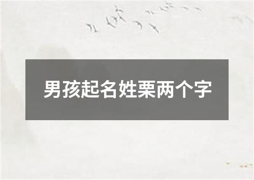 男孩起名姓栗两个字