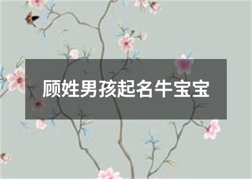 顾姓男孩起名牛宝宝