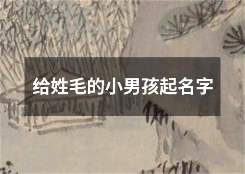 给姓毛的小男孩起名字