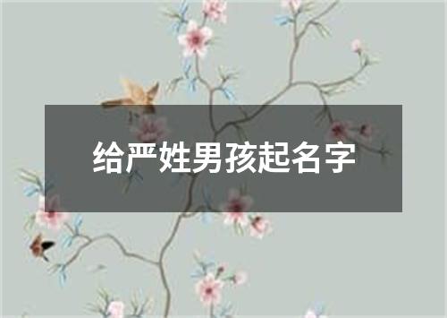 给严姓男孩起名字