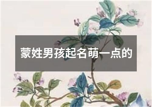 蒙姓男孩起名萌一点的