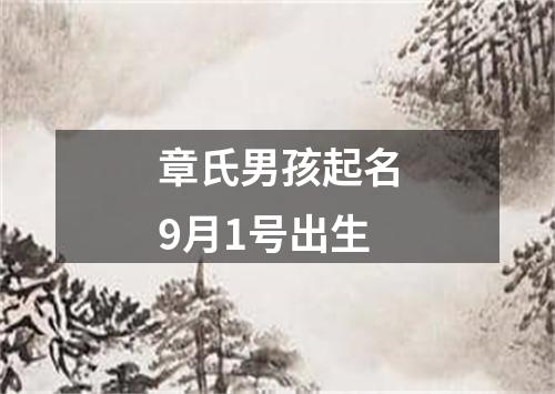 章氏男孩起名9月1号出生