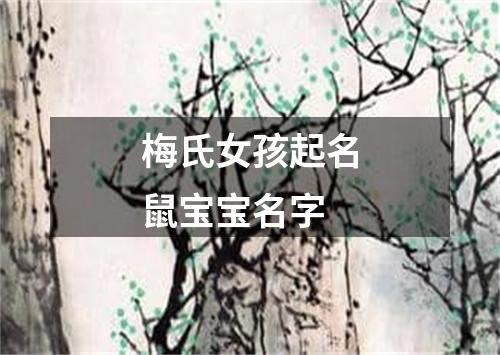 梅氏女孩起名鼠宝宝名字