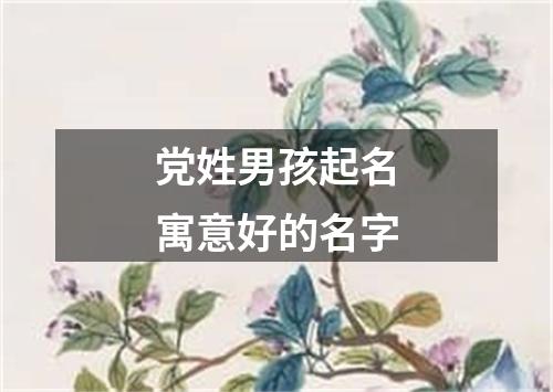 党姓男孩起名寓意好的名字