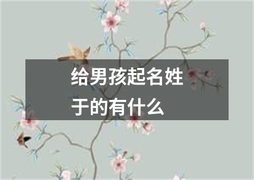 给男孩起名姓于的有什么