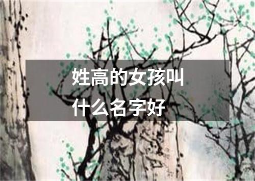 姓高的女孩叫什么名字好