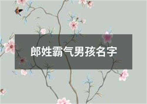 郎姓霸气男孩名字