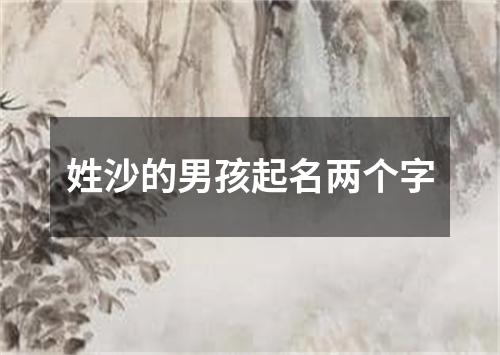 姓沙的男孩起名两个字