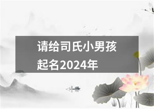 请给司氏小男孩起名2024年