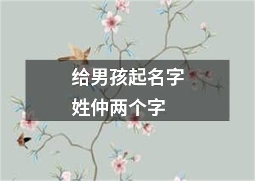 给男孩起名字姓仲两个字