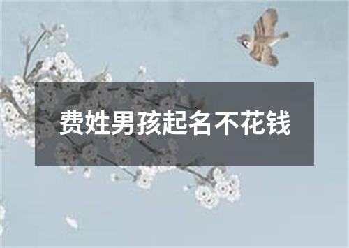 费姓男孩起名不花钱