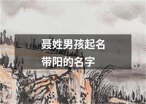 聂姓男孩起名带阳的名字