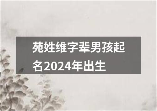 苑姓维字辈男孩起名2024年出生