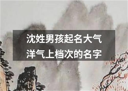 沈姓男孩起名大气洋气上档次的名字