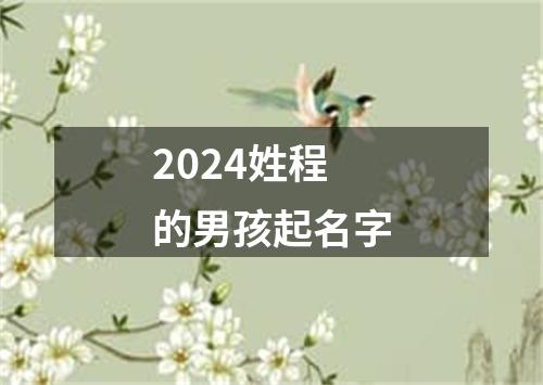 2024姓程的男孩起名字