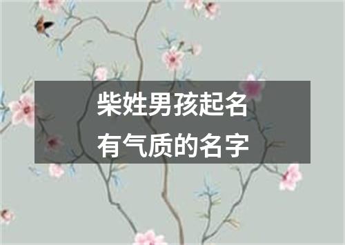 柴姓男孩起名有气质的名字