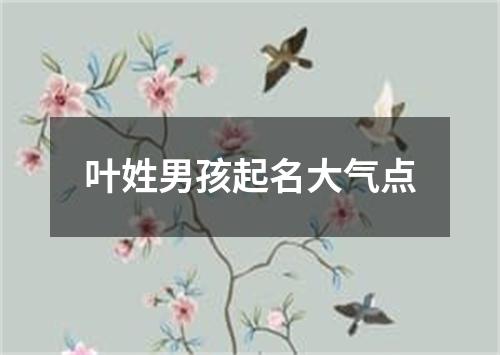 叶姓男孩起名大气点