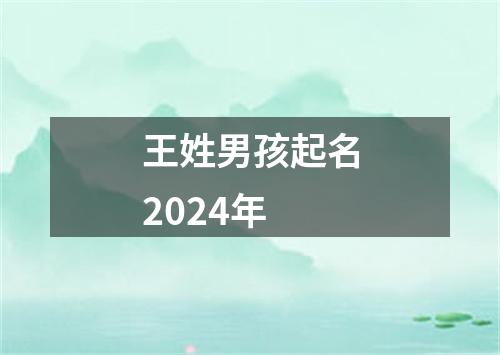 王姓男孩起名2024年