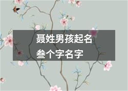 聂姓男孩起名叁个字名字