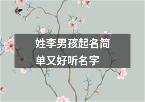 姓李男孩起名简单又好听名字