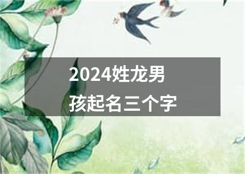 2024姓龙男孩起名三个字