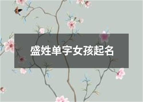 盛姓单字女孩起名