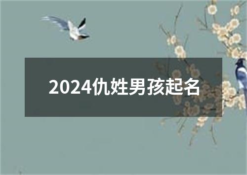 2024仇姓男孩起名