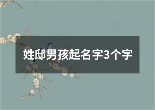 姓邸男孩起名字3个字