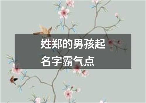 姓郑的男孩起名字霸气点