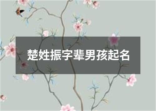 楚姓振字辈男孩起名