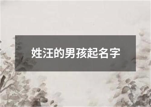 姓汪的男孩起名字