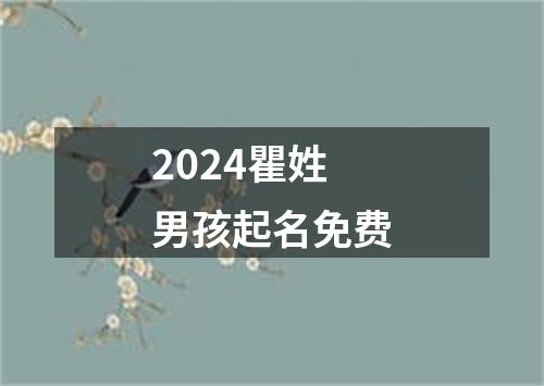 2024瞿姓男孩起名免费