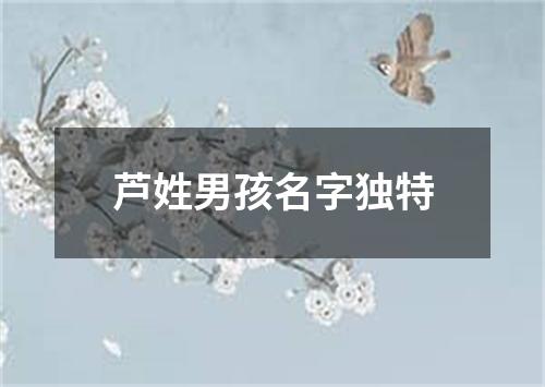 芦姓男孩名字独特