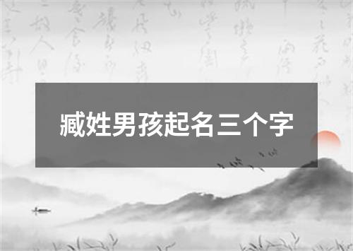 臧姓男孩起名三个字