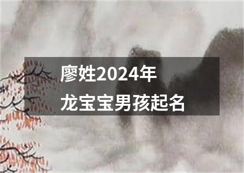 廖姓2024年龙宝宝男孩起名