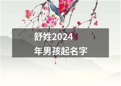 舒姓2024年男孩起名字