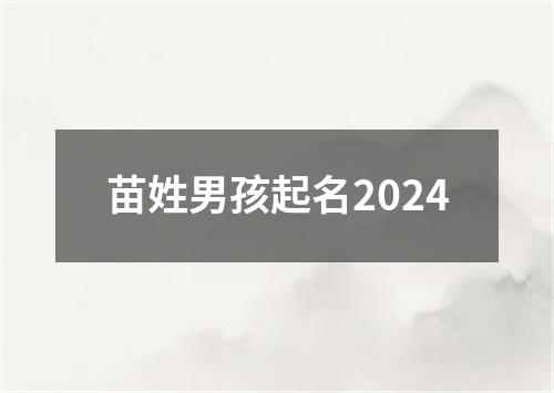 苗姓男孩起名2024