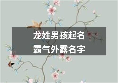 龙姓男孩起名霸气外露名字