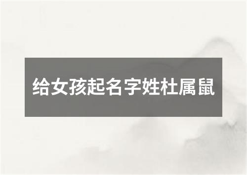 给女孩起名字姓杜属鼠