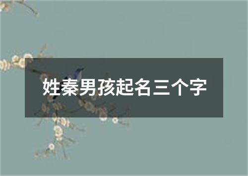 姓秦男孩起名三个字