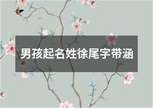 男孩起名姓徐尾字带涵