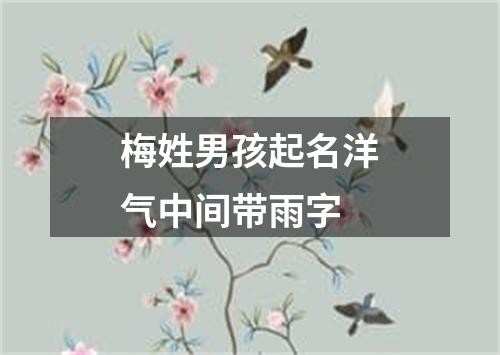 梅姓男孩起名洋气中间带雨字