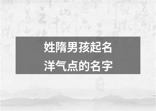 姓隋男孩起名洋气点的名字